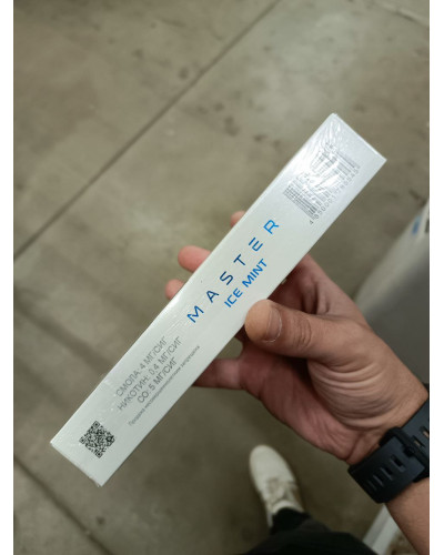 Master Ice Mint Slims (ментол)