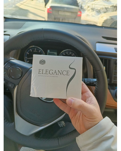 Elegance 16 Light (Nano)