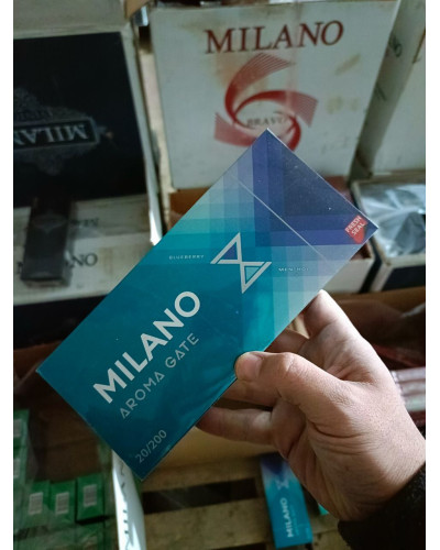 Milano Aroma Gate Nano (черника и ментол, кнопка)